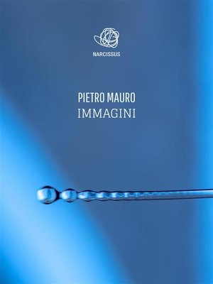 cover image of Immagini